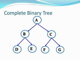 Trees, Binary Search Tree, AVL Tree in Data Structures | PPT