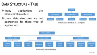 DATA STRUCTURE - TREE
 Many applications are
hierarchical in nature.
 Linear data structures are not
appropriate for these type of
applications.
Tree  2
President
Vice President
Executive Executive
Vice President
Executive
Vice President
Executive Executive
Mashrafi Khan
Mairufa Khan
Junayed
Ahmed
Masrufa
Ahmed
Fahim Khan
Ashfar
Khan
Moin Khan
Imran
Khan
Bushra
Khan
Faizul Khan
Mahboob
Khan
Mashrufa
Khan
Mashraba
Khan
Hierarchical structure of a company
Genealogy tree of a family
 