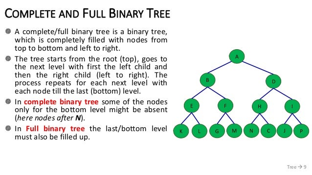 Data structure tree - intermediate