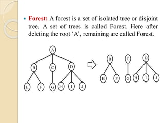 Forest: A forest is a set of isolated tree or disjoint
tree. A set of trees is called Forest. Here after
deleting the root ‘A’, remaining are called Forest.
A
DCB
JIHGFE
DCB
JIHGFE
 