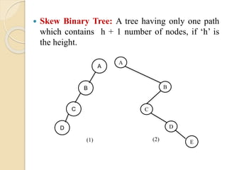  Skew Binary Tree: A tree having only one path
which contains h + 1 number of nodes, if ‘h’ is
the height.
A
B
D
C
(1)
A
B
D
C
(2) E
 