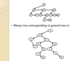 Binary tree corresponding to general tree is:
A
B C D
FE HG JI
ML
K
A
B
C
D
F
E
H
G
J
I
M
L
K
 