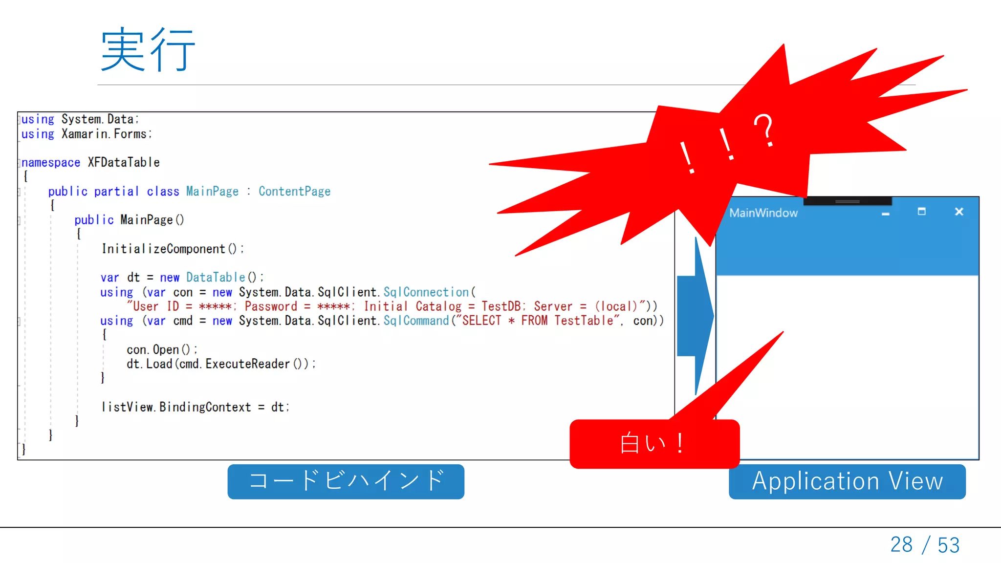 / 53
実行
28
Application Viewコードビハインド
白い！
 