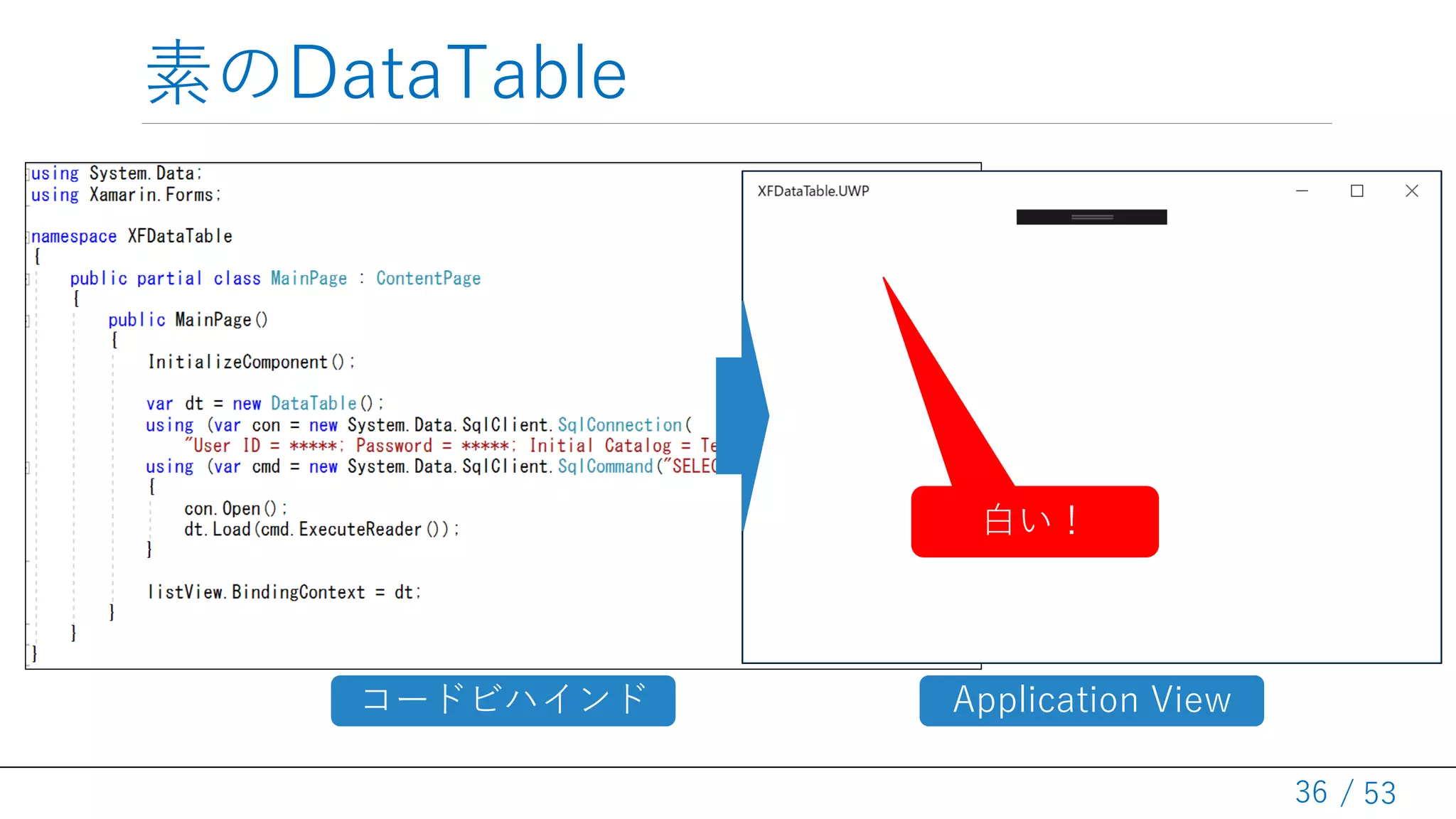 / 53
素のDataTable
36
Application Viewコードビハインド
白い！
 