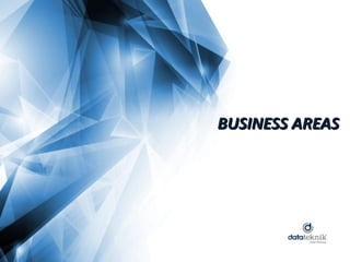 BUSINESS AREAS
 
