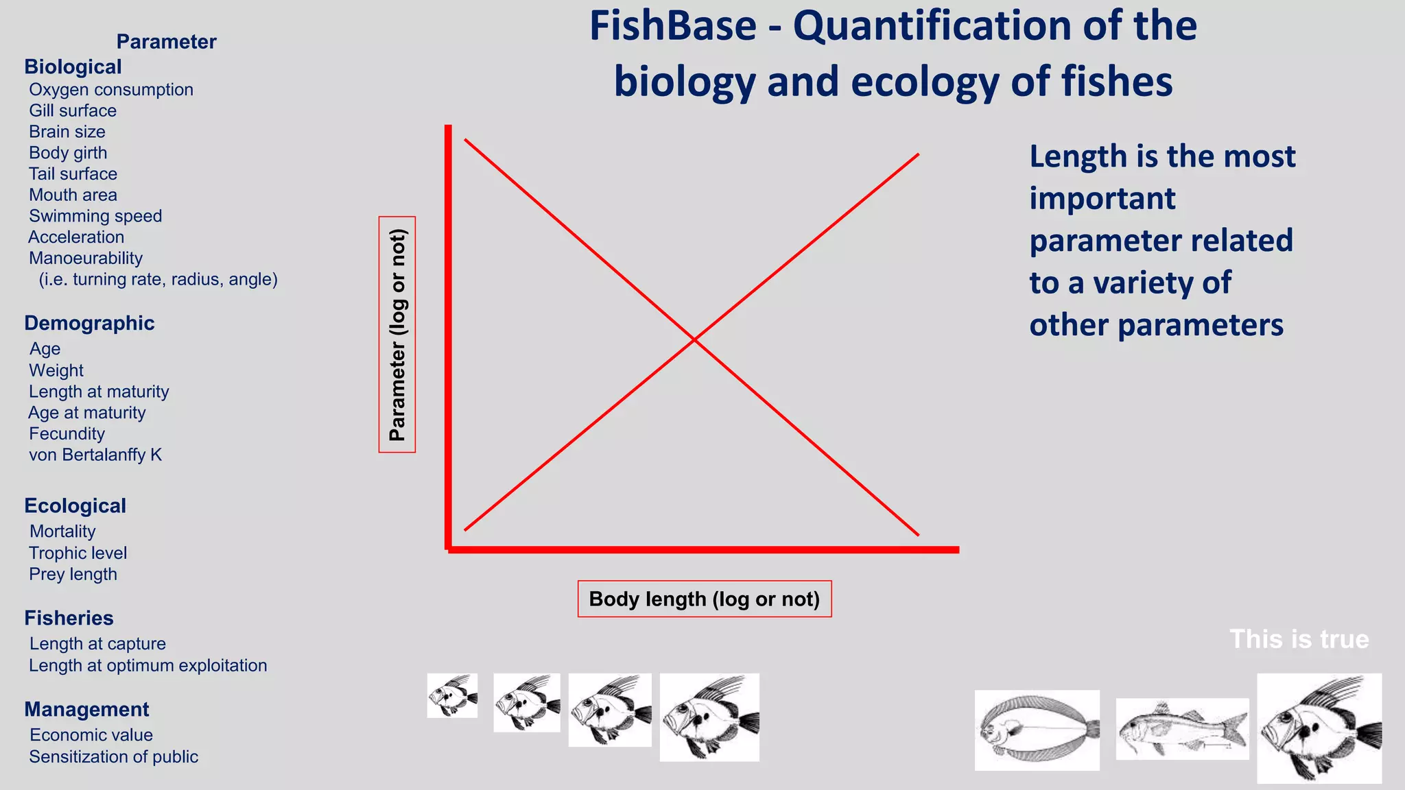 Parameter
Biological
Oxygen consumption
Gill surface
Brain size
Body girth
Tail surface
Mouth area
Swimming speed
Acceleration
Manoeurability
(i.e. turning rate, radius, angle)
Demographic
Age
Weight
Length at maturity
Age at maturity
Fecundity
von Bertalanffy K
Ecological
Mortality
Trophic level
Prey length
Fisheries
Length at capture
Length at optimum exploitation
Management
Economic value
Sensitization of public
Body length (log or not)
Parameter(logornot)
FishBase - Quantification of the
biology and ecology of fishes
This is true
Length is the most
important
parameter related
to a variety of
other parameters
