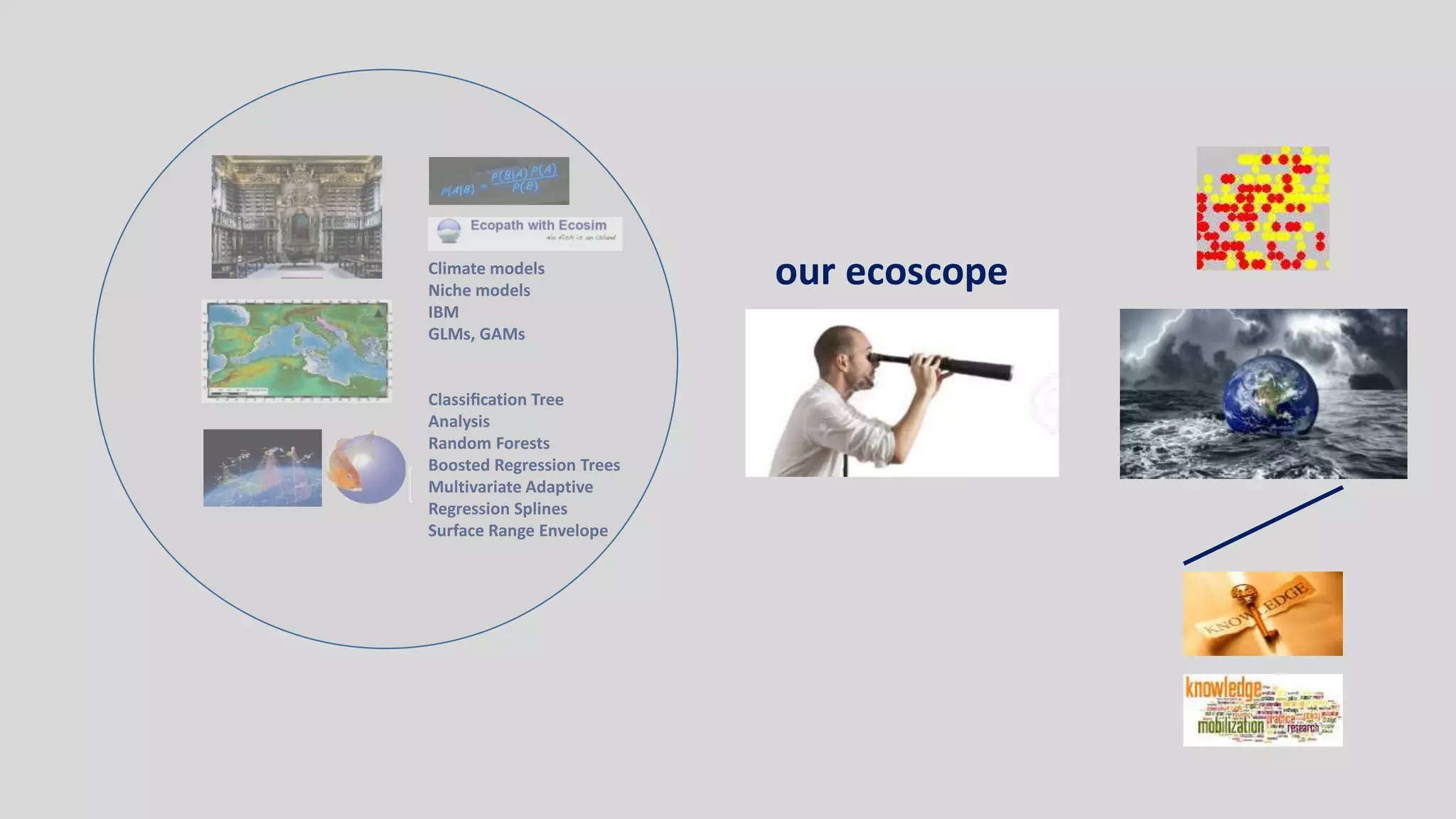 Climate models
Niche models
IBM
GLMs, GAMs
Classification Tree
Analysis
Random Forests
Boosted Regression Trees
Multivariate Adaptive
Regression Splines
Surface Range Envelope
our ecoscope