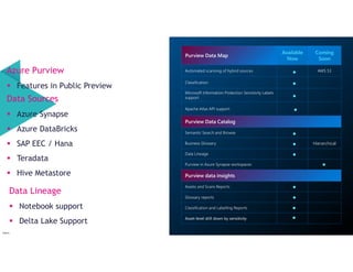 Azure Purview Data Toboggan Erwin de Kreuk | PDF