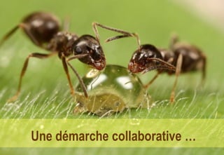 Une démarche collaborative …
 