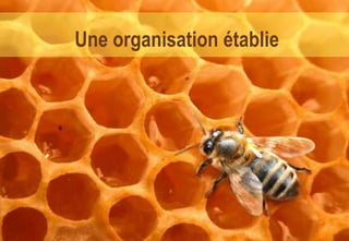 Une organisation établie
 