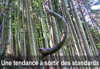 Une tendance à sortir des standards
 