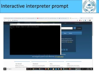 Interactive interpreter prompt
 