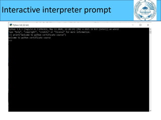 Interactive interpreter prompt
 