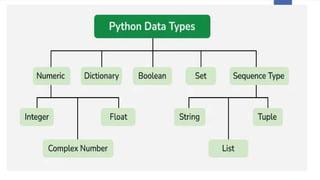 Comprehensive Guide to Python Data Types and Their Usage | PPTX