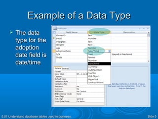 Data types and field properties