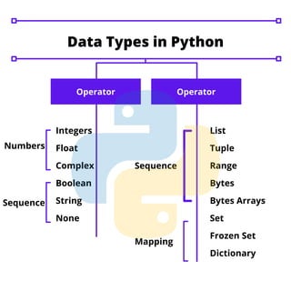 Data types in python | PDF