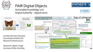 FAIR Digital Objects
Actionable knowledge unit
Digital butterfly – digital twins
Bags of references
courtesy Dimitris Koureas
Coordinator DiSSCo EU
Research Infrastructure
Specimen object image
courtesy of Alex Hardisty
 