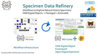 Specimen Data Refinery
Workflows to Digitise Natural History Specimens
FAIR DigitalObjects -> Packaged + Actionable
+
FAIR Digital Object
Framework
Open Digital Specimen
Workflow Infrastructure
courtesy of Alex Hardisty and Laurence Livermore
 