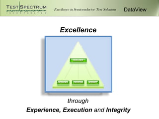 DataView


           Excellence




             through
Experience, Execution and Integrity
 