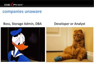 companies unaware
Developer or AnalystBoss, Storage Admin, DBA
 