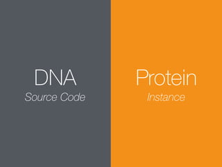 DNA
Source Code
Protein
Instance
 