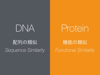 DNA
配列の類似
Sequence Similarity
Protein
機能の類似
Functional Similarity
 