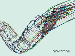 openworm.org
 