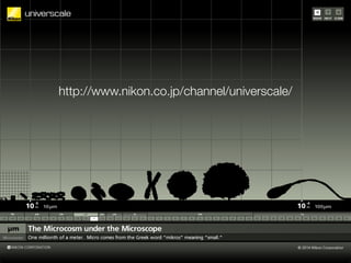 http://www.nikon.co.jp/channel/universcale/
 