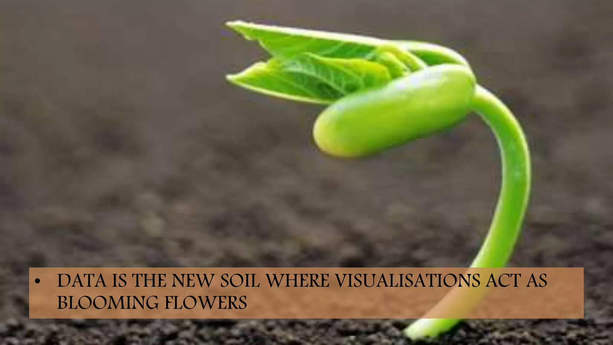 • DATA IS THE NEW SOIL WHERE VISUALISATIONS ACT AS
BLOOMING FLOWERS
 