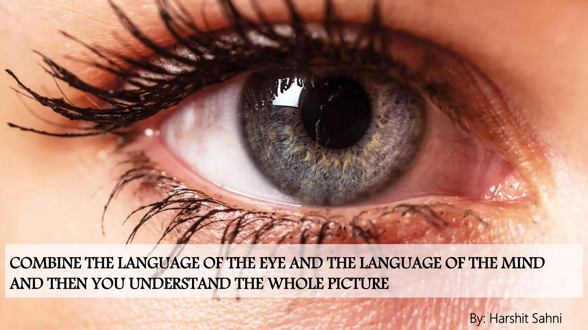 COMBINE THE LANGUAGE OF THE EYE AND THE LANGUAGE OF THE MIND
AND THEN YOU UNDERSTAND THE WHOLE PICTURE
By: Harshit Sahni
 