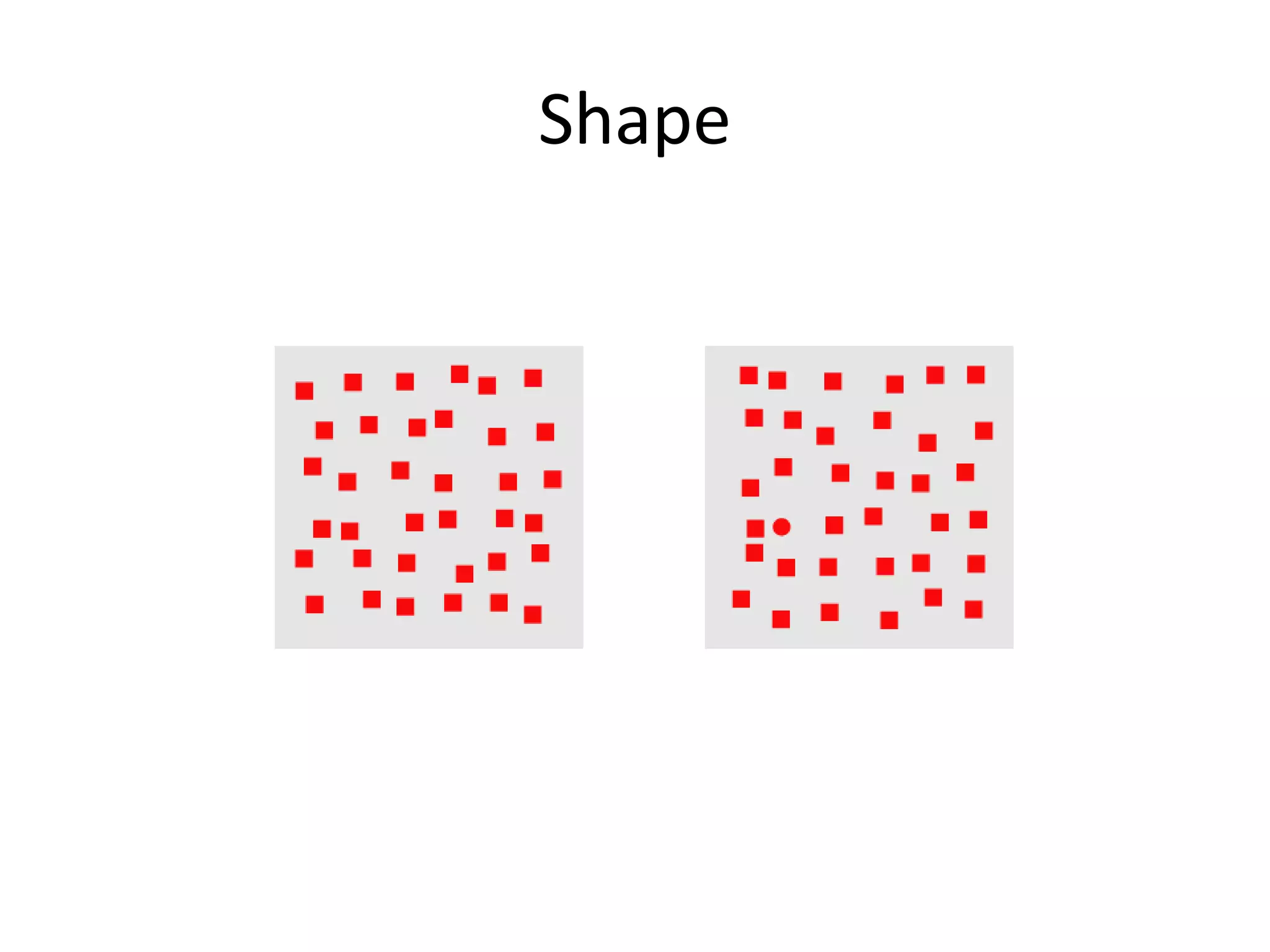 Shape
 