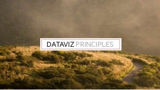 DATAVIZ PRINCIPLES
 