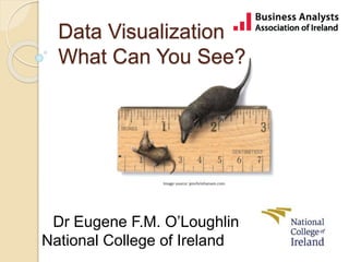 Dr Eugene F.M. O’Loughlin
National College of Ireland
Data Visualization
What Can You See?
 