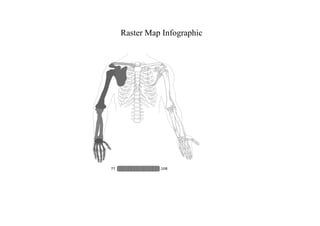 Raster Map Infographic
 