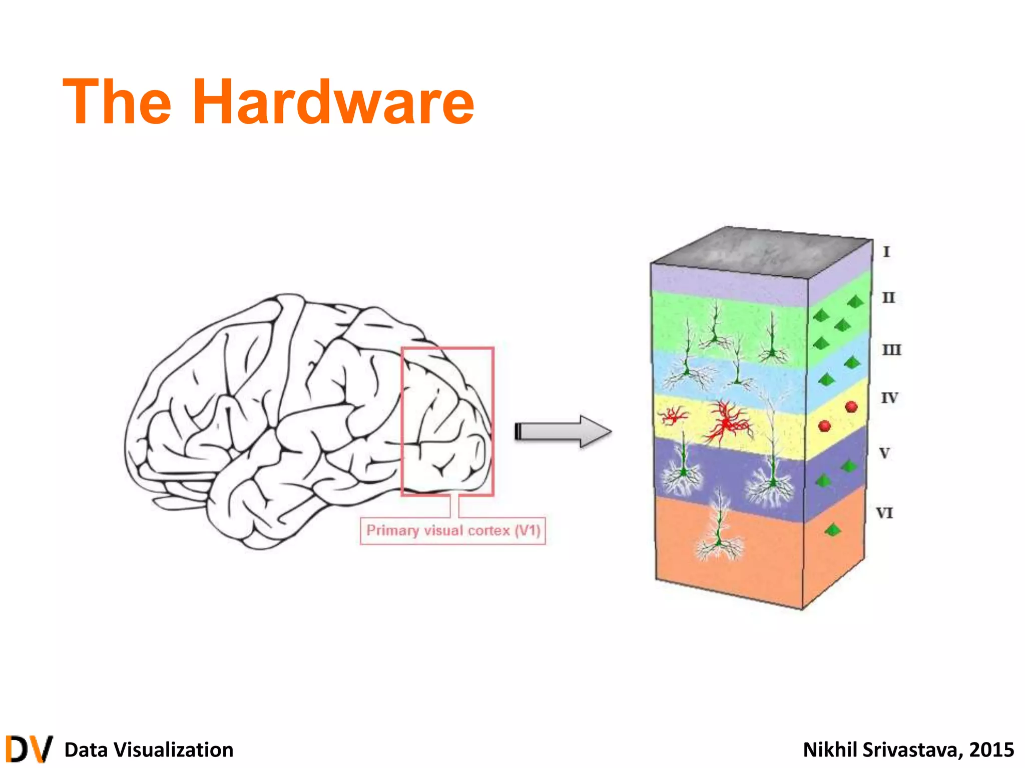 Data Visualization Nikhil Srivastava, 2015
The Hardware
 