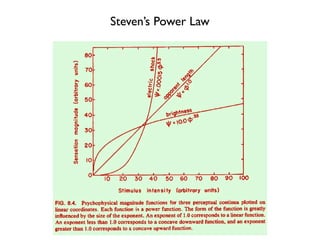 Steven’s Power Law
 