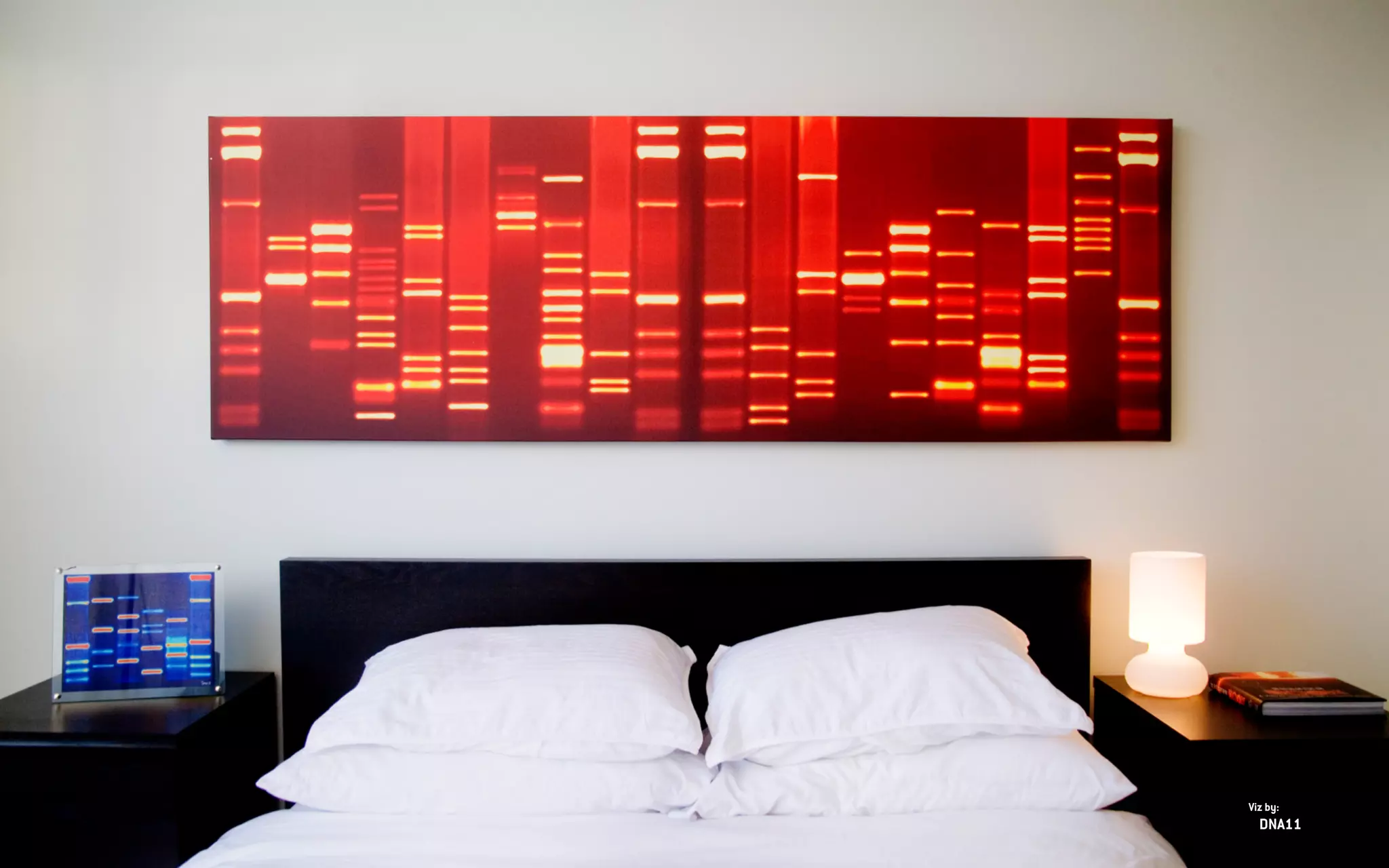 IMAGEN:
DNA11
Viz by:
 