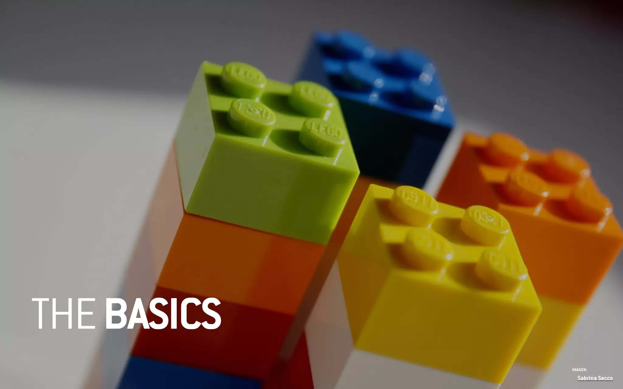 Sabrina Secco
IMAGEN:
THEBASICS
 