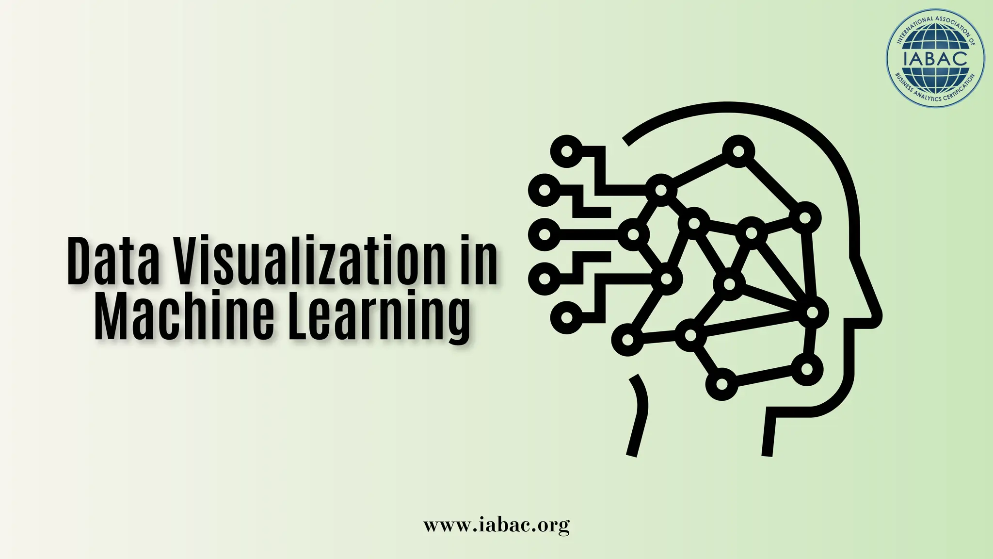 Data Visualization in Machine Learning | IABAC | PDF
