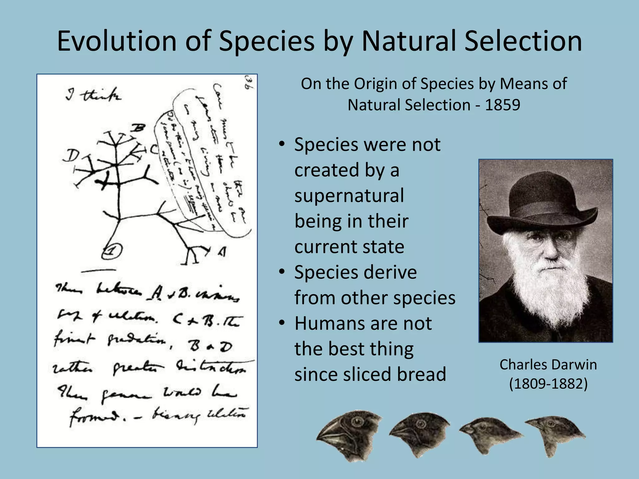 Evolution of Species by Natural Selection
Charles Darwin
(1809-1882)
On the Origin of Species by Means of
Natural Selection - 1859
• Species were not
created by a
supernatural
being in their
current state
• Species derive
from other species
• Humans are not
the best thing
since sliced bread
 