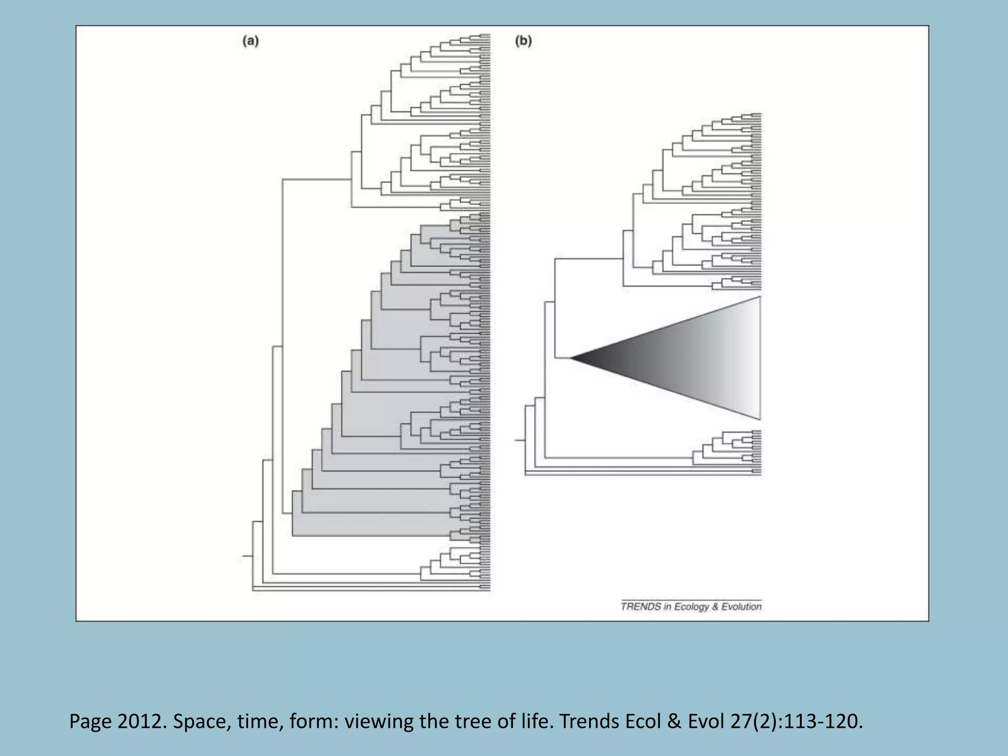 Page 2012. Space, time, form: viewing the tree of life. Trends Ecol & Evol 27(2):113-120.
 