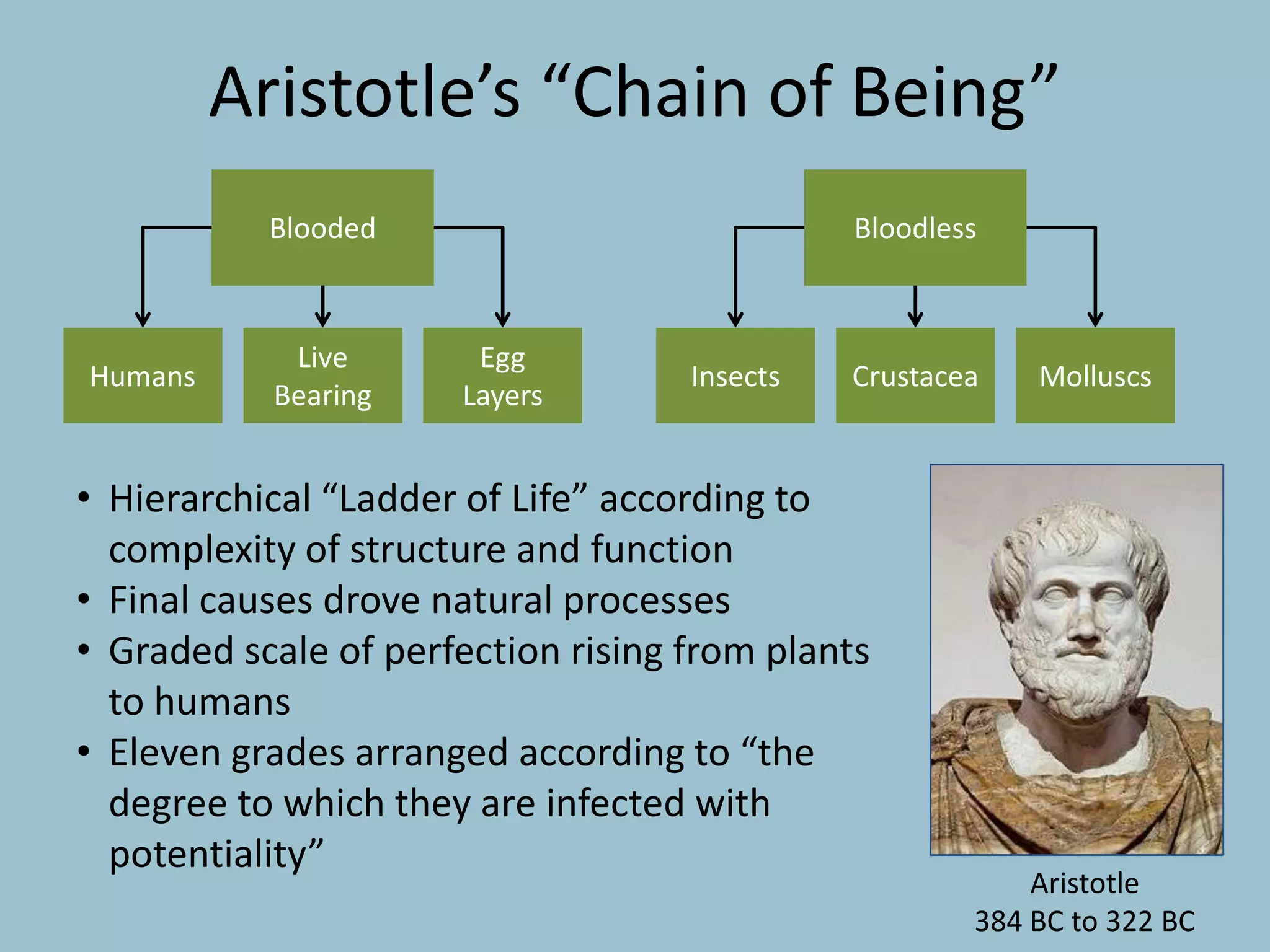 Aristotle’s “Chain of Being”
Blooded
Humans
Live
Bearing
Egg
Layers
Bloodless
Insects Crustacea Molluscs
• Hierarchical “Ladder of Life” according to
complexity of structure and function
• Final causes drove natural processes
• Graded scale of perfection rising from plants
to humans
• Eleven grades arranged according to “the
degree to which they are infected with
potentiality”
Aristotle
384 BC to 322 BC
 