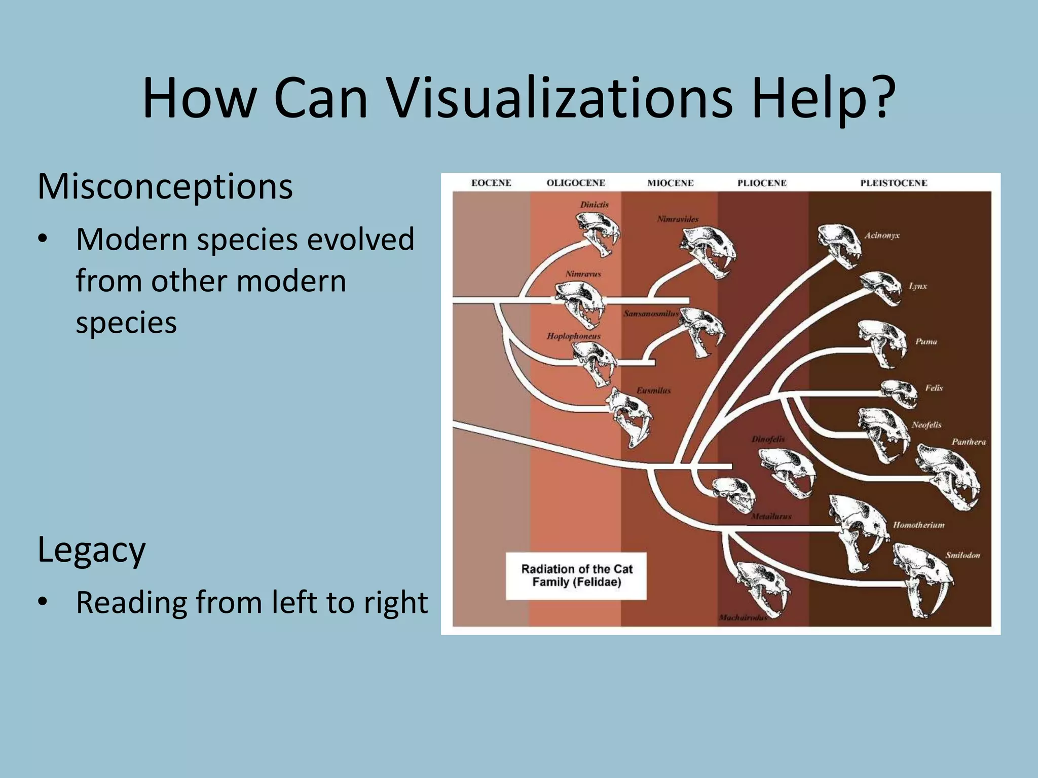 How Can Visualizations Help?
Misconceptions
• Modern species evolved
from other modern
species
Legacy
• Reading from left to right
 