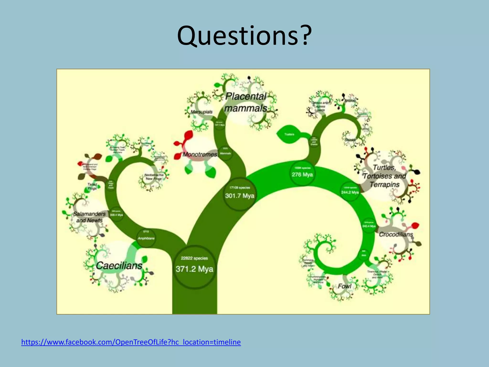 https://www.facebook.com/OpenTreeOfLife?hc_location=timeline
Questions?
 