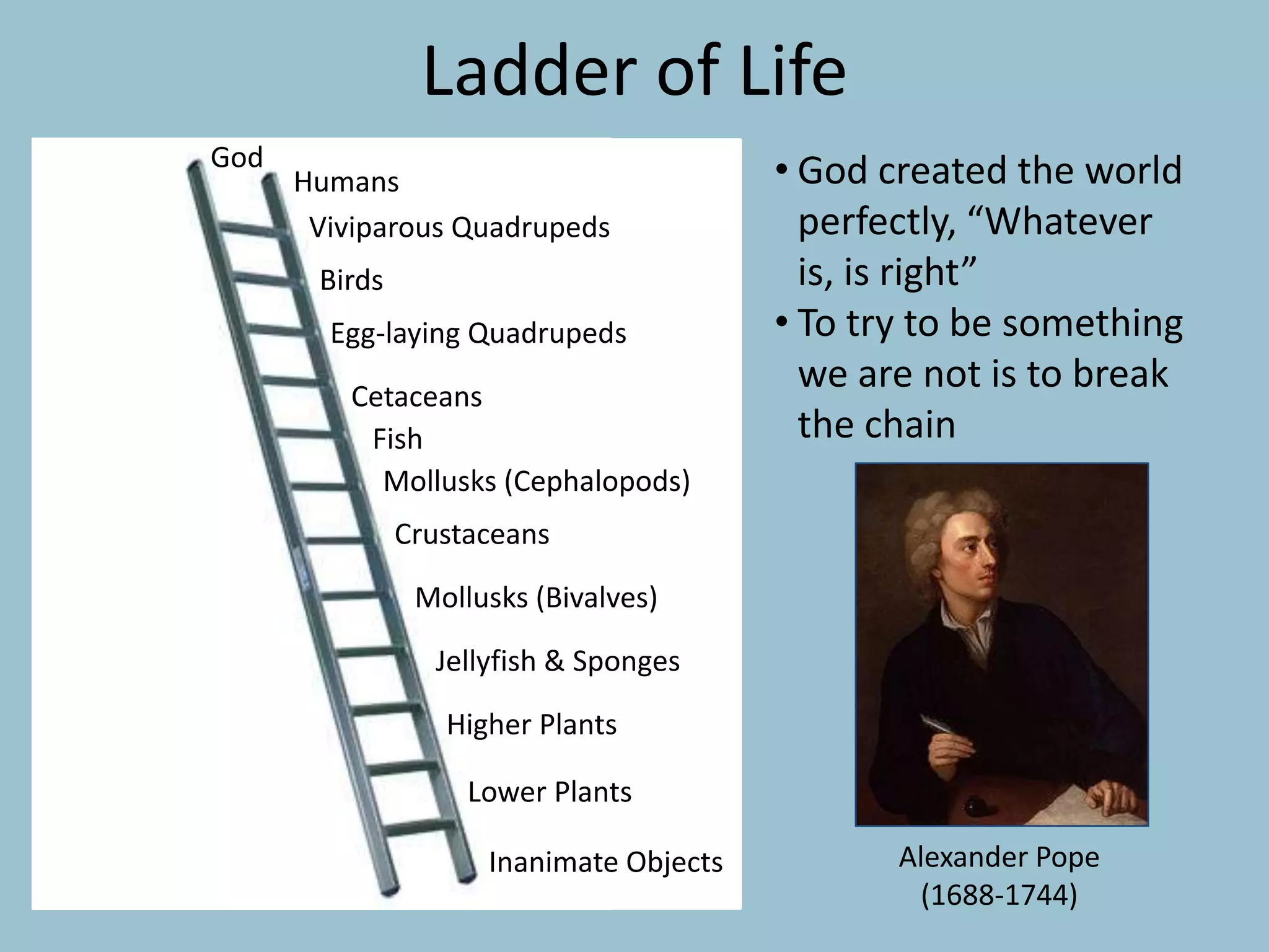 • God created the world
perfectly, “Whatever
is, is right”
• To try to be something
we are not is to break
the chain
Ladder of Life
Humans
Viviparous Quadrupeds
Birds
Egg-laying Quadrupeds
Cetaceans
Fish
Mollusks (Cephalopods)
Crustaceans
Mollusks (Bivalves)
Jellyfish & Sponges
Higher Plants
Lower Plants
Inanimate Objects Alexander Pope
(1688-1744)
God
 
