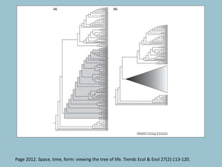 Visualizing Evolution | PPTX