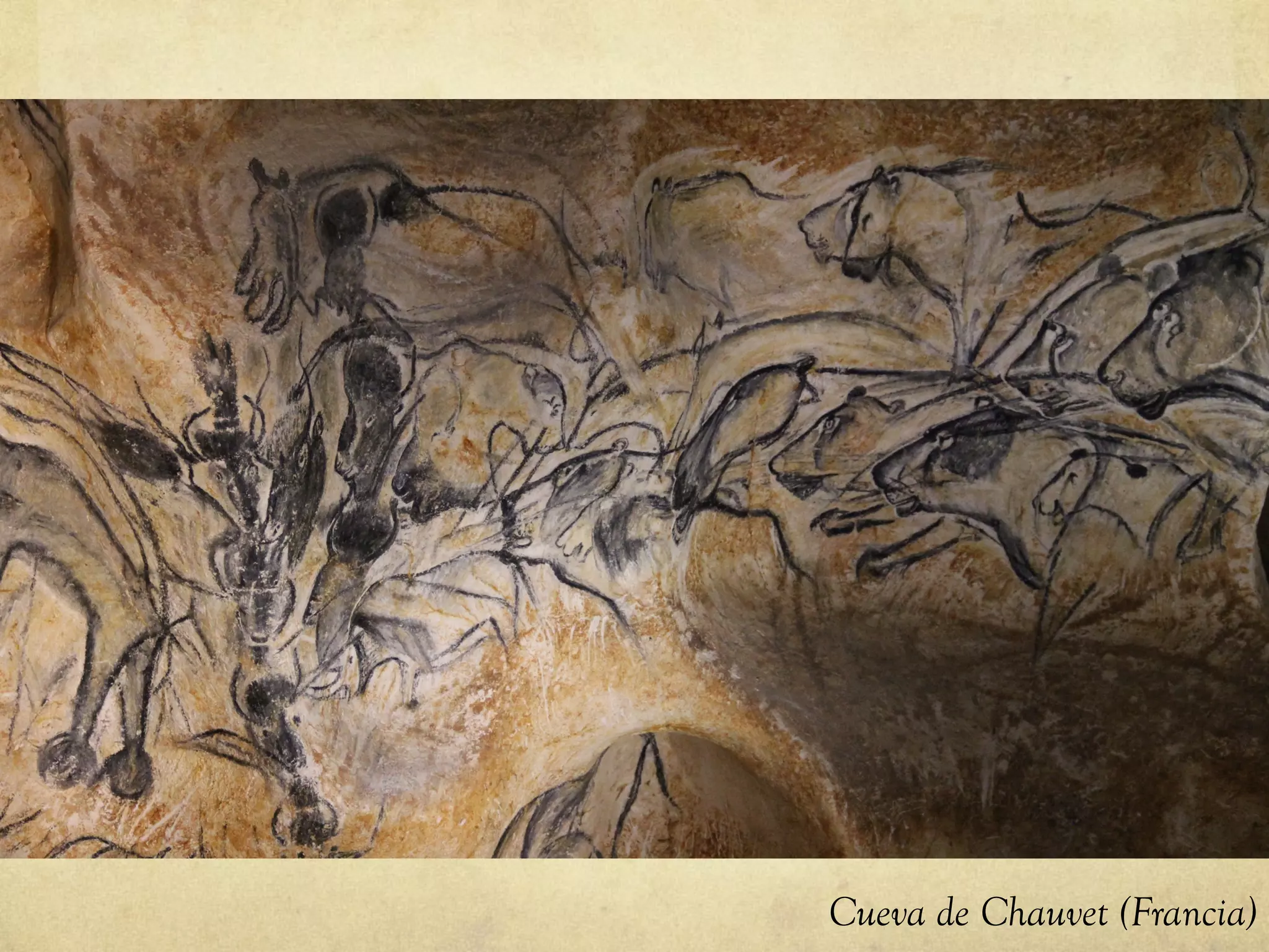 Cueva de Chauvet (Francia)
