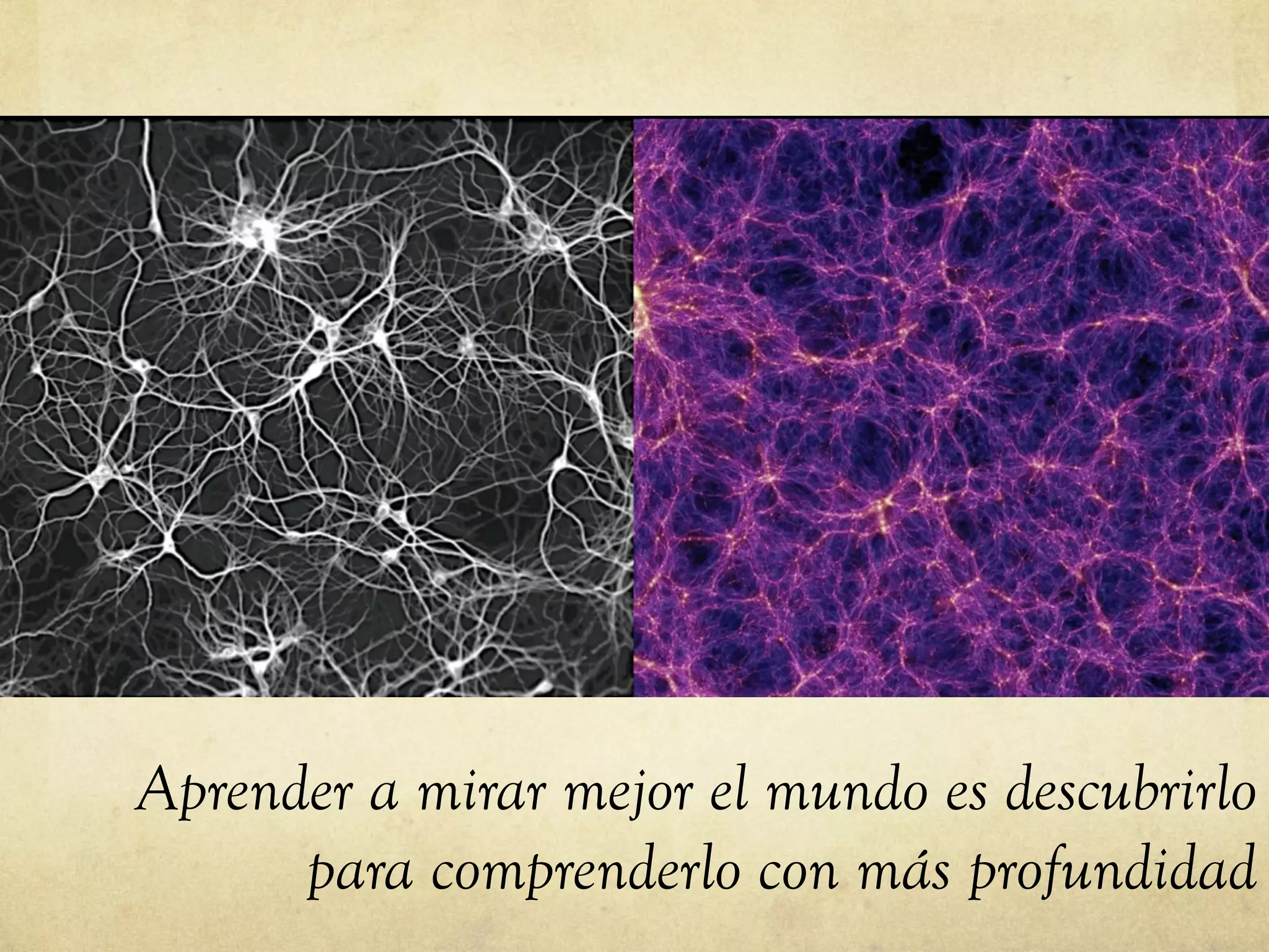 Aprender a mirar mejor el mundo es descubrirlo
para comprenderlo con más profundidad