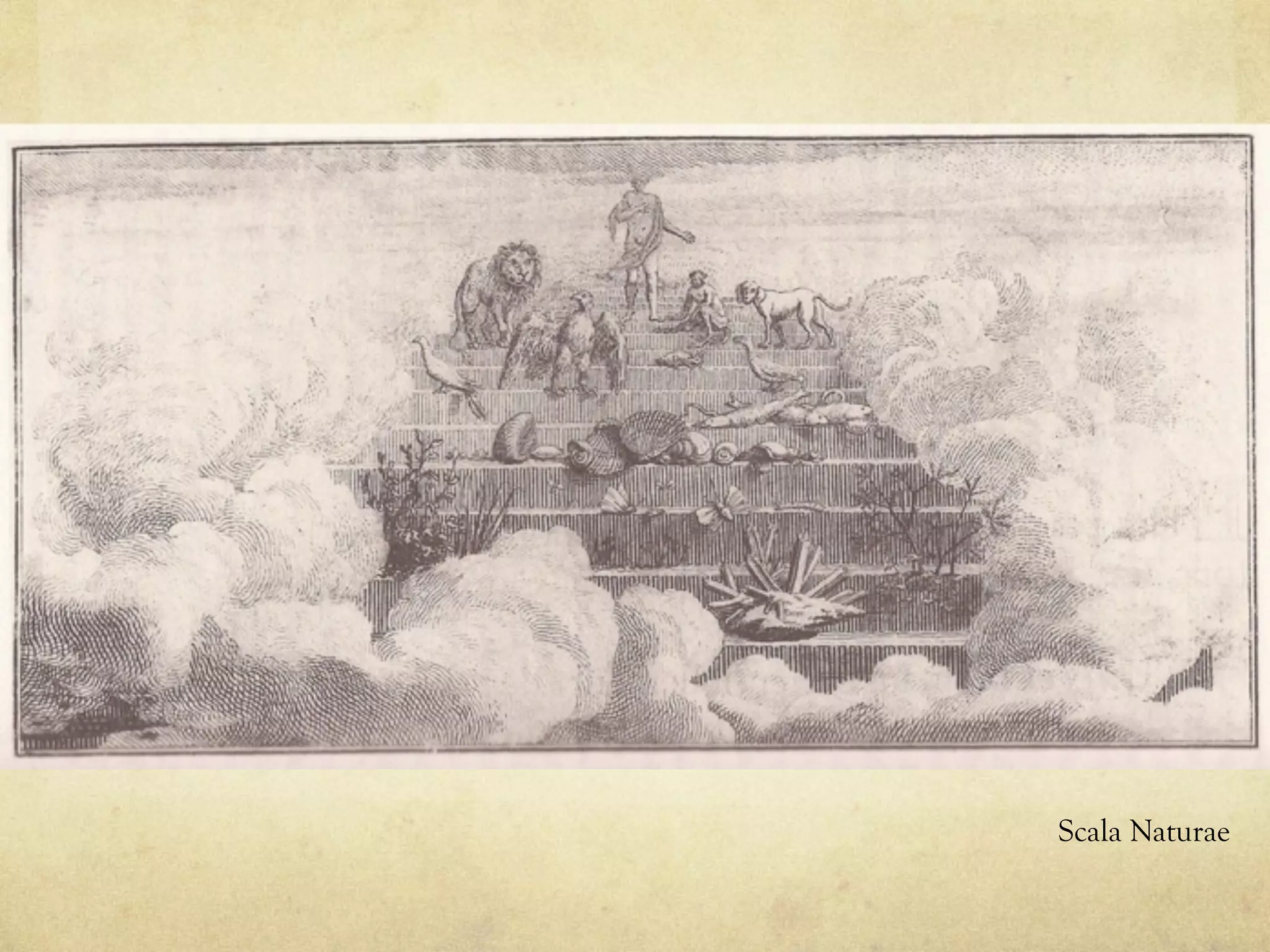 Scala Naturae