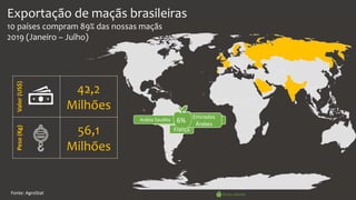 Vamos Analisar
Irlanda 10% Rússia
10%Arábia Saudita 3% Índia13% Portugal6% Suécia
2% Bangladesh31% Reino Unido6%
França
2% Emirados
Árabes
6%
Exportação de maçãs brasileiras
10 países compram 89% das nossas maçãs
2019 (Janeiro – Julho)
Fonte: AgroStat
Valor(US$)
42,2
Milhões
Peso(Kg)
56,1
Milhões
% em volume
 